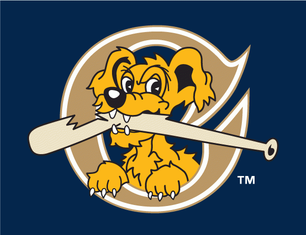 Charleston Riverdogs 2011-2015 Cap Logo v3 iron on transfers for T-shirts
